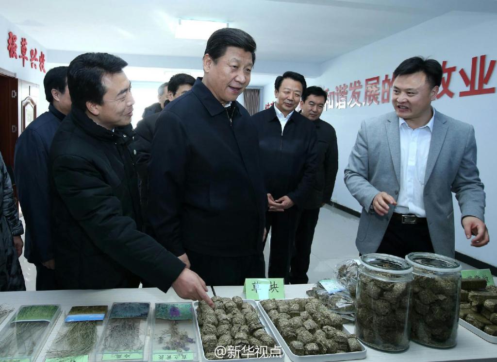 習總書記視察會員單位——草都農牧業(yè)發(fā)展有限責任公司毛登牧場飼草產業(yè)基地