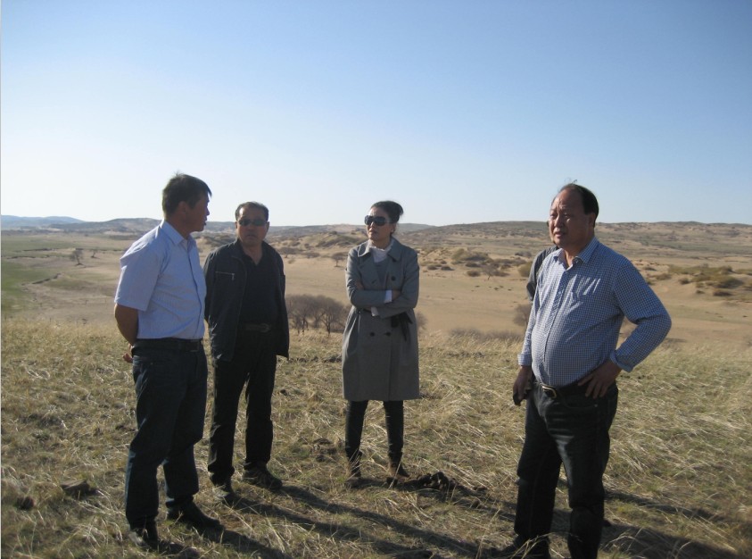 發(fā)揮資源優(yōu)勢，提高產(chǎn)業(yè)鏈競爭力——協(xié)會為企業(yè)間的合作搭建平臺