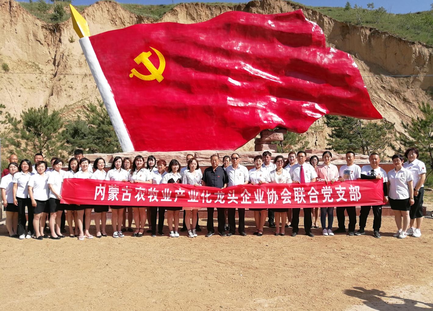 內(nèi)蒙古農(nóng)牧業(yè)產(chǎn)業(yè)化龍頭企業(yè)協(xié)會(huì)走進(jìn)石人灣村開展“辦實(shí)事、解難題，送溫暖，傳黨恩”公益活動(dòng)